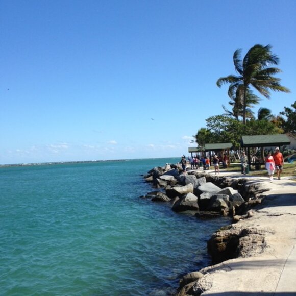 Five ⭐️ Seller - Fast Shipper! - Picture 4 of 15